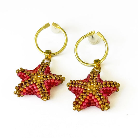 ASTRO EARRINGS-CHARMS E/GP 26002